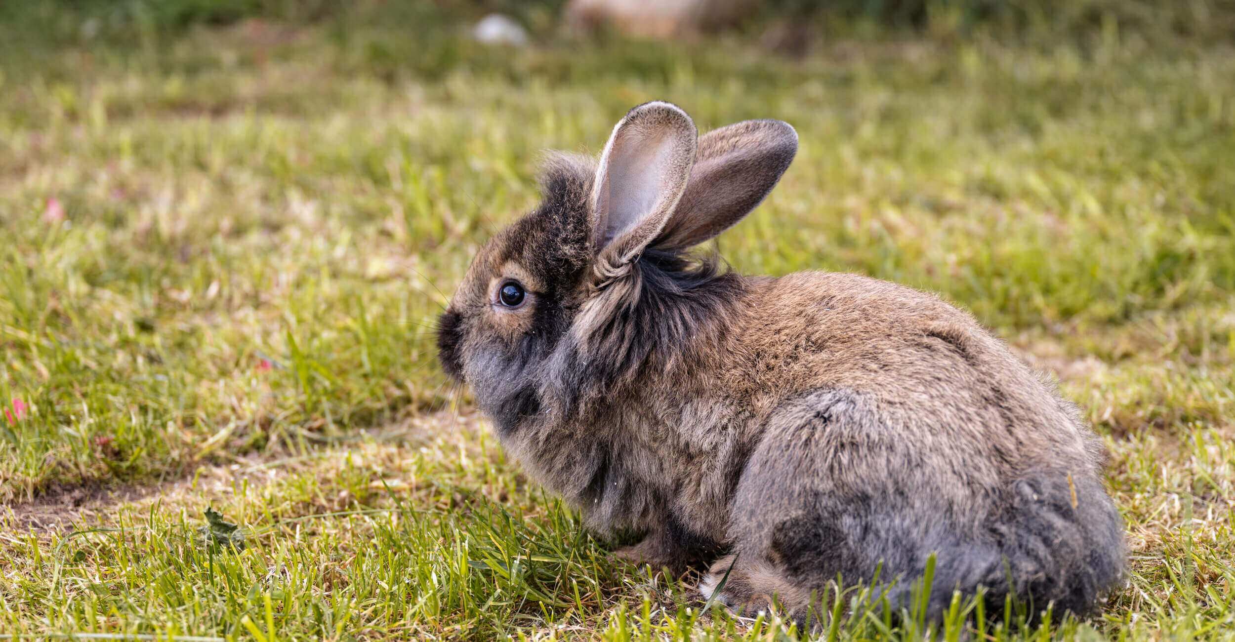 sthof Bauernhof Erleben Familienurlaub 6