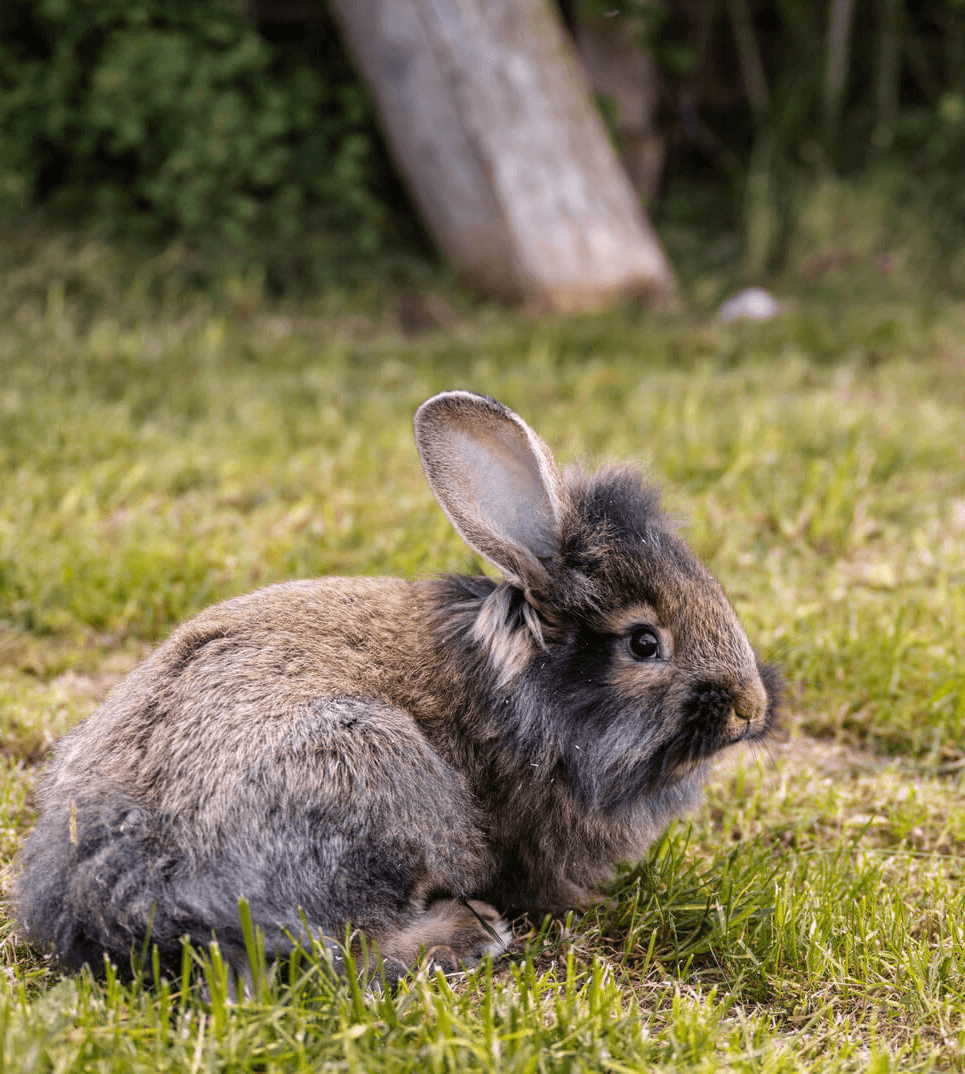 sthof Stockerhof Bauernhof Erleben Familienurlaub 13