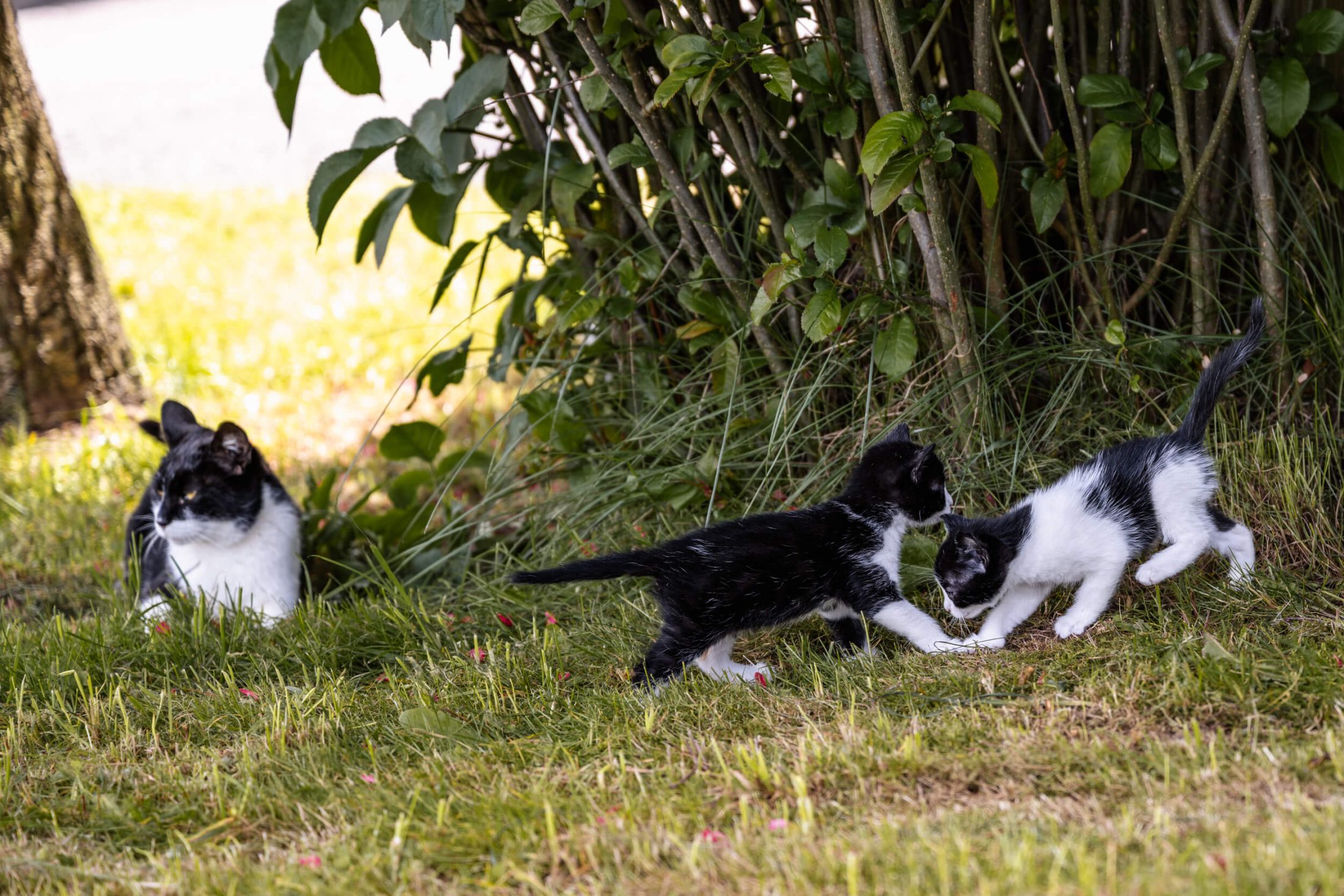 sthof Stockerhof Impressionen Latemar Erleben 12