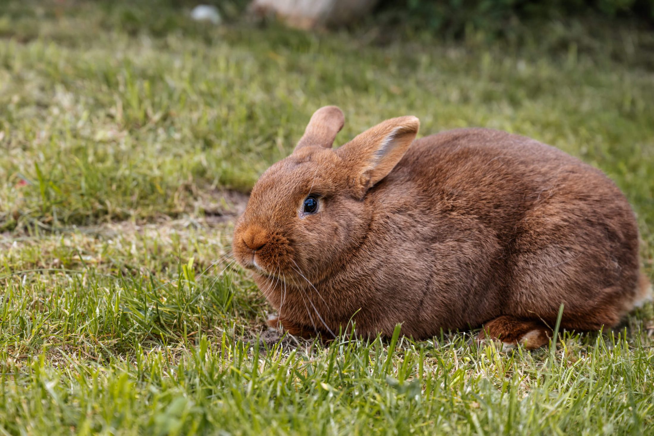 sthof Stockerhof Impressionen Latemar Erleben 13