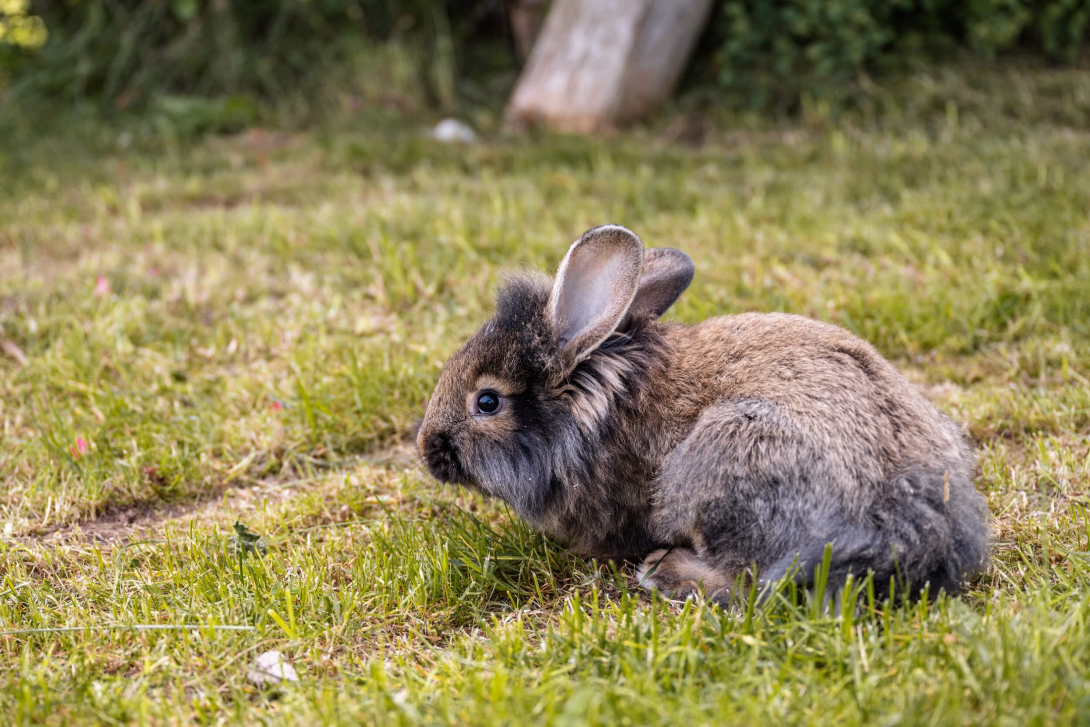 sthof Stockerhof Impressionen Latemar Erleben 14